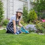 Prato impeccabile anche con freddo e pioggia: i nuovi trucchi per un verde senza rivali